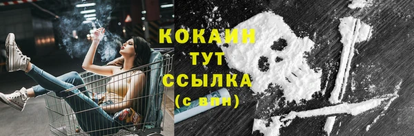 ГАЛЛЮЦИНОГЕННЫЕ ГРИБЫ Белокуриха