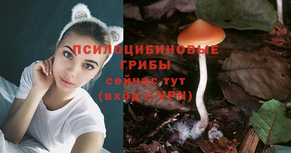 ГАЛЛЮЦИНОГЕННЫЕ ГРИБЫ Белокуриха